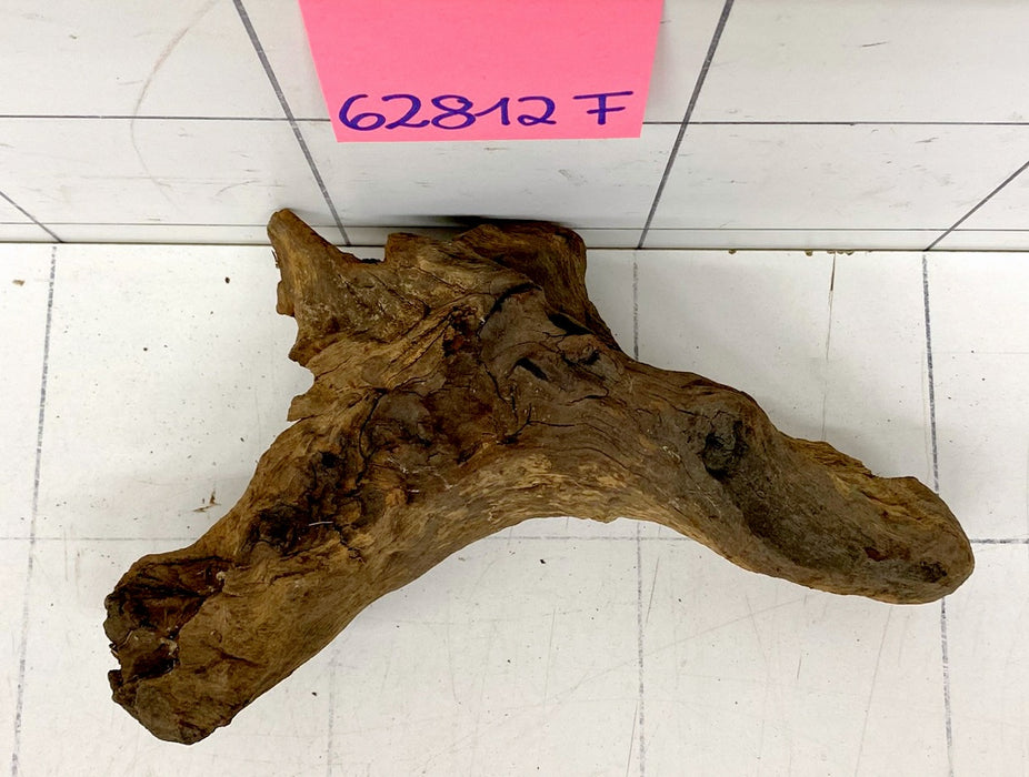 62812F Flussholz / Driftwood / Flusswurzel
