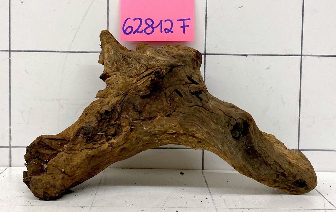 62812F Flussholz / Driftwood / Flusswurzel