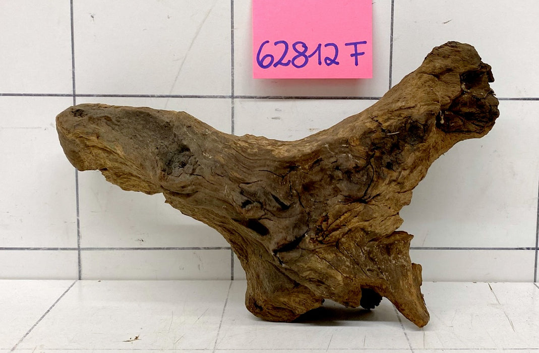 62812F Flussholz / Driftwood / Flusswurzel