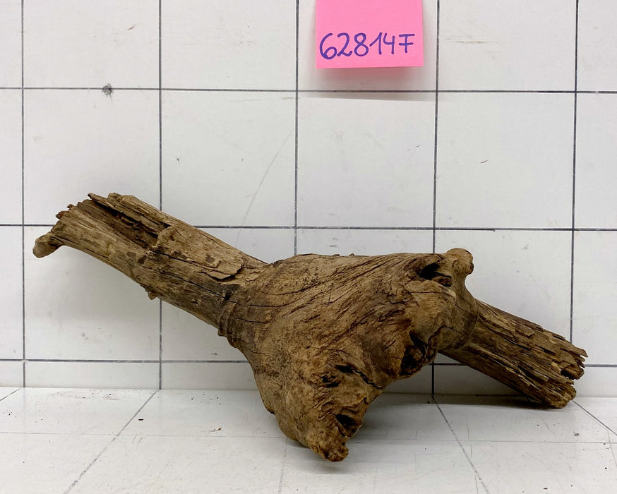 62814F Flussholz / Driftwood / Flusswurzel
