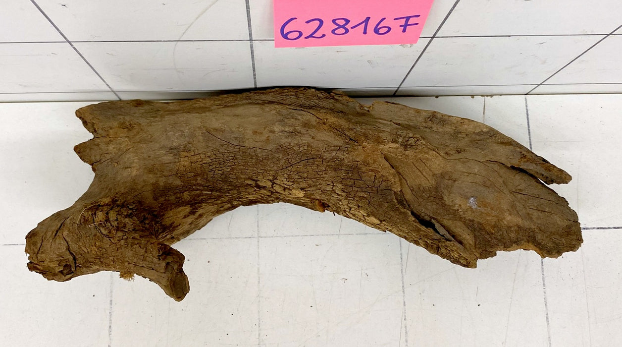 62816F Flussholz / Driftwood / Flusswurzel