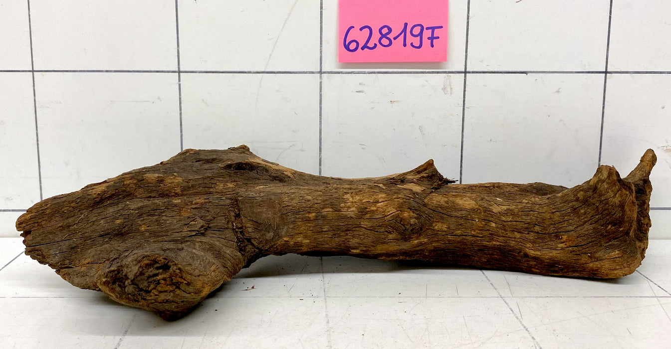 62819F Flussholz / Driftwood / Flusswurzel