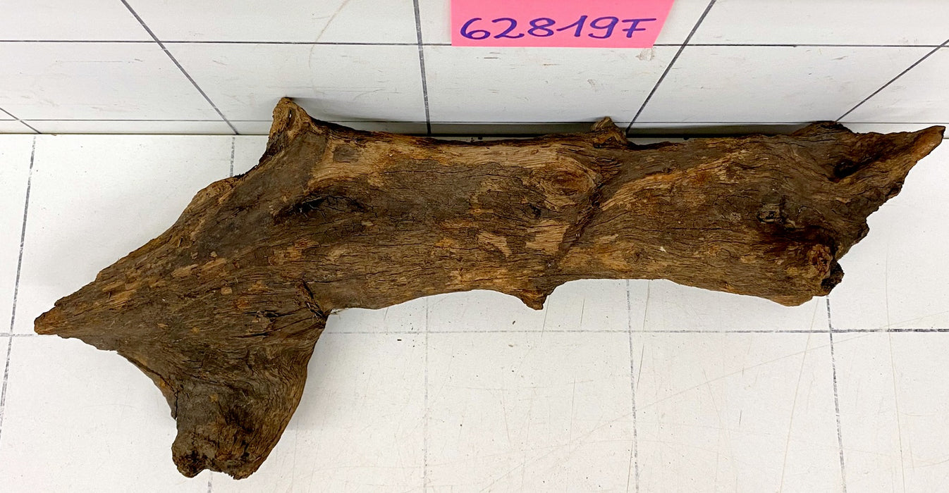 62819F Flussholz / Driftwood / Flusswurzel