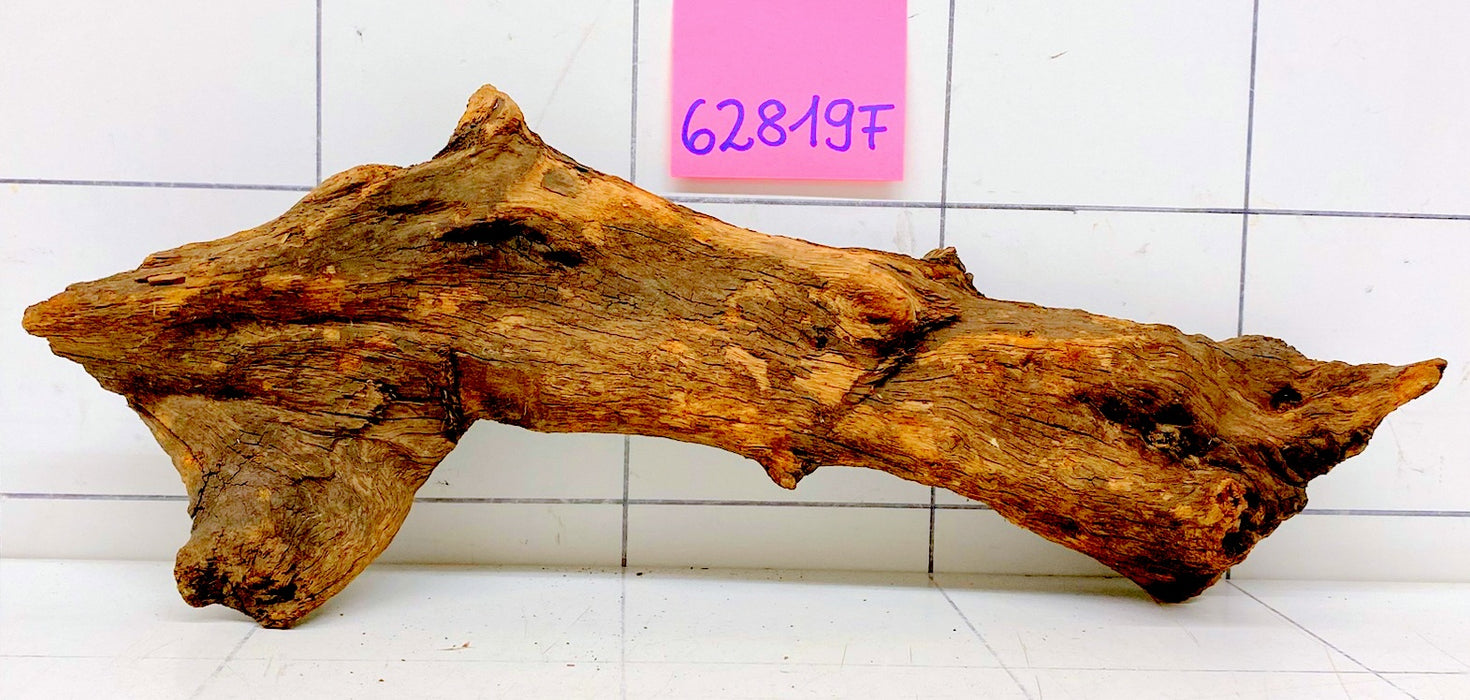 62819F Flussholz / Driftwood / Flusswurzel