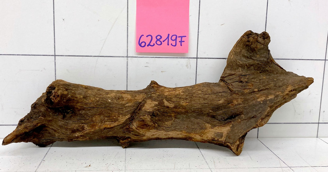 62819F Flussholz / Driftwood / Flusswurzel