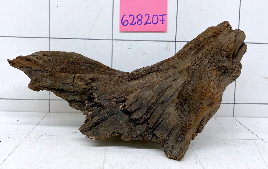 62820F Flussholz / Driftwood / Flusswurzel