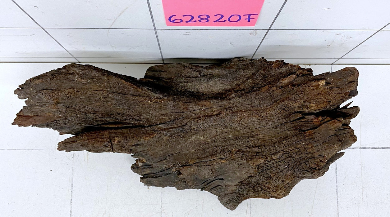 62820F Flussholz / Driftwood / Flusswurzel