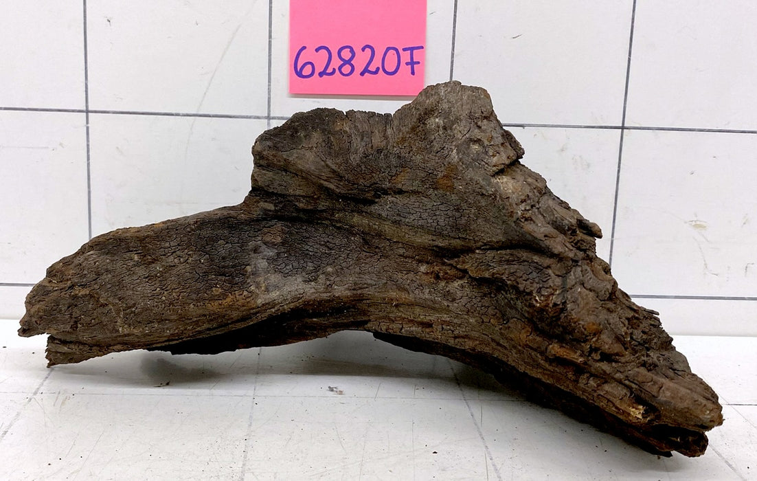 62820F Flussholz / Driftwood / Flusswurzel