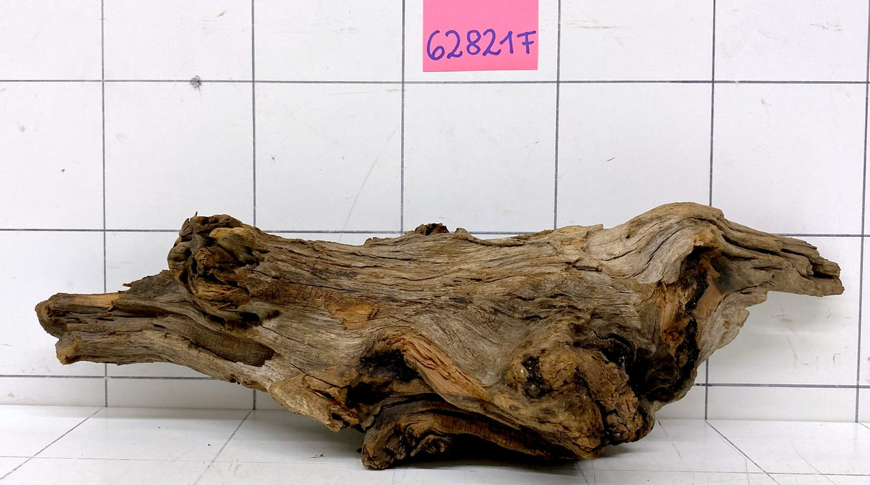 62821F Flussholz / Driftwood / Flusswurzel