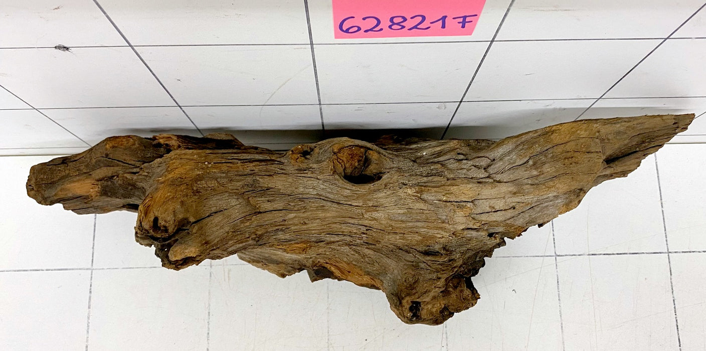 62821F Flussholz / Driftwood / Flusswurzel