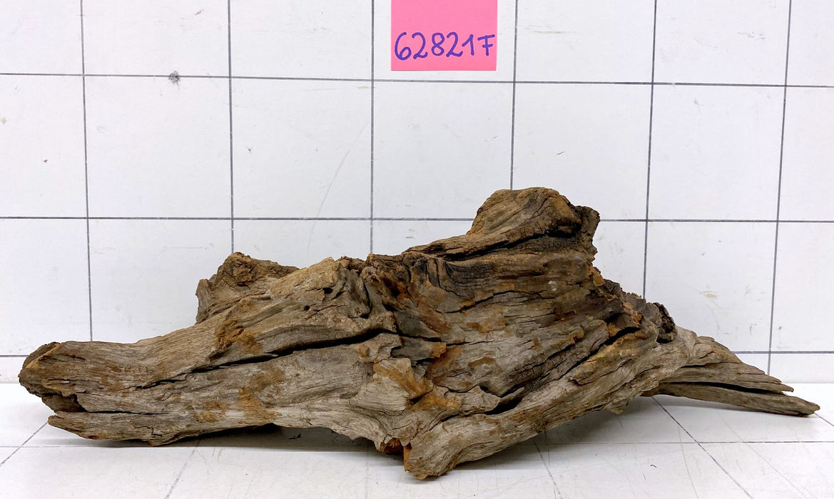 62821F Flussholz / Driftwood / Flusswurzel