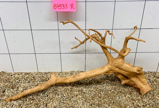 54933R Fingerwood / Rote Moorwurzel Holz