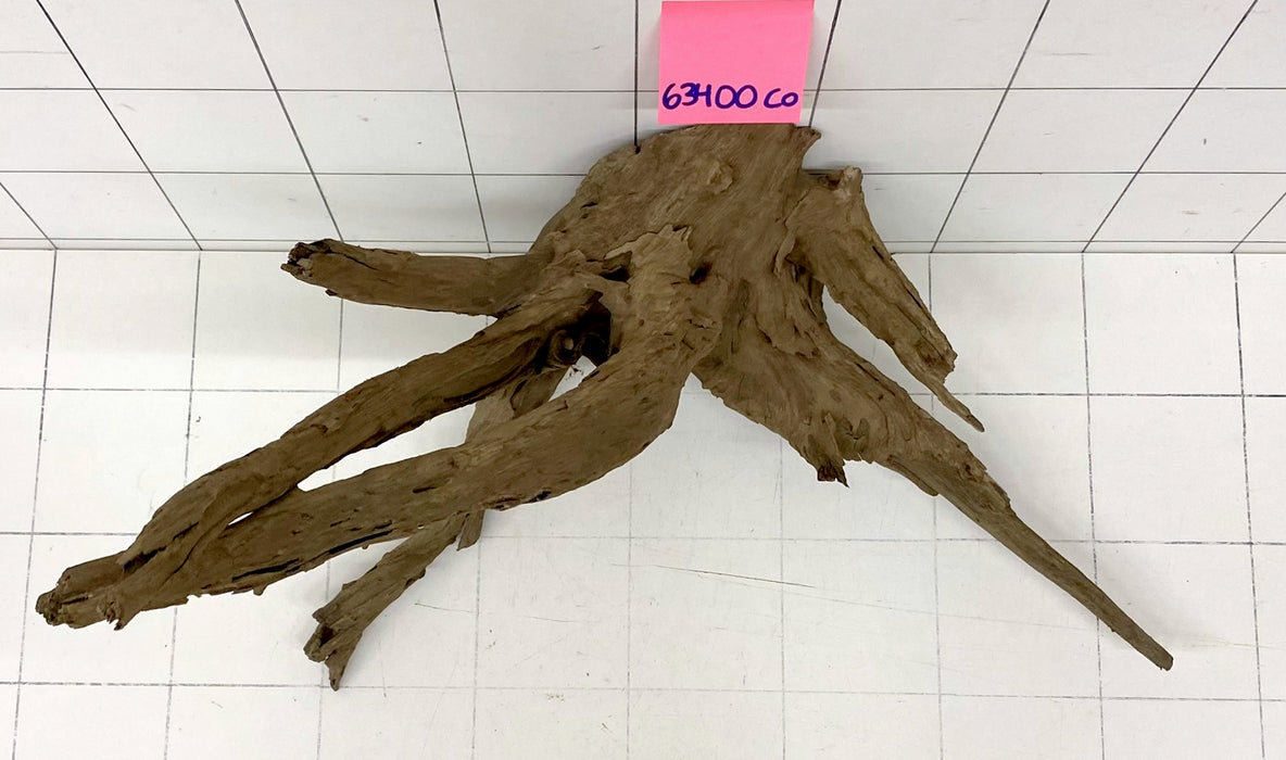 63400CO - Corbo Wurzel Holz XL