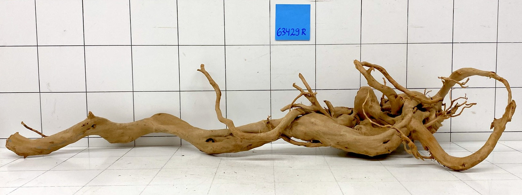 63429R Fingerwood / Rote Moorwurzel Holz
