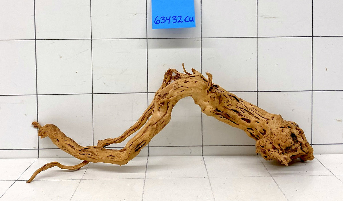 63432Cu - Curlwood Wurzel Holz