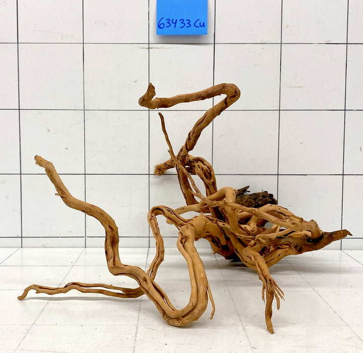 63433Cu - Curlwood Wurzel Holz