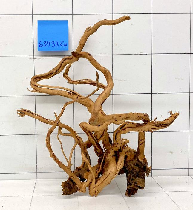 63433Cu - Curlwood Wurzel Holz