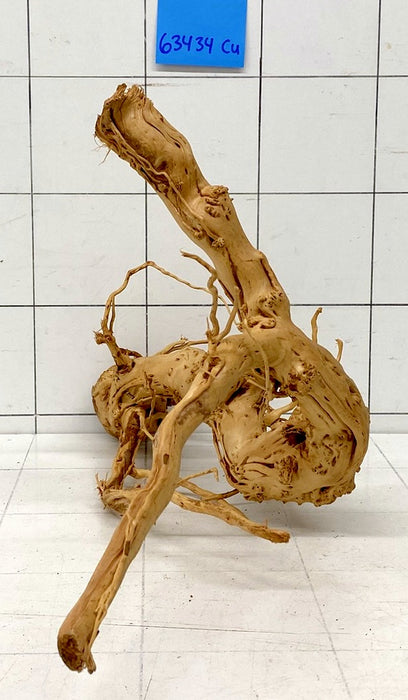 63434Cu - Curlwood Wurzel Holz