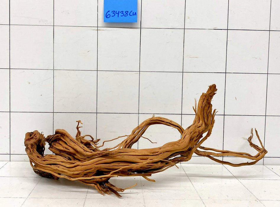 63438Cu - Curlwood Wurzel Holz
