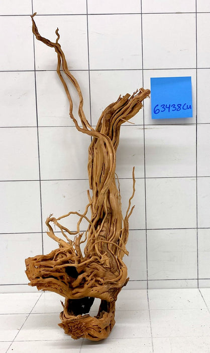 63438Cu - Curlwood Wurzel Holz