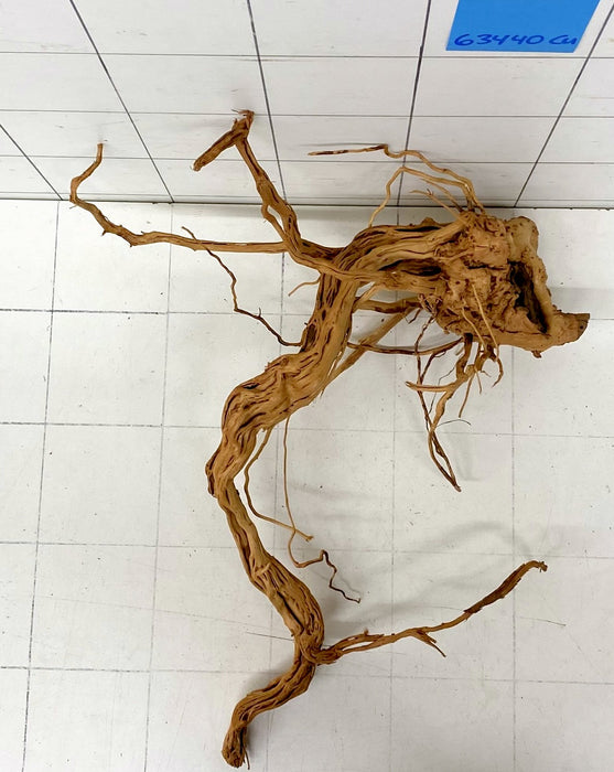 63440Cu - Curlwood Wurzel Holz
