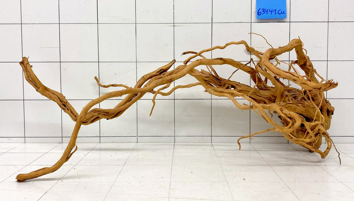 63441Cu - Curlwood Wurzel Holz