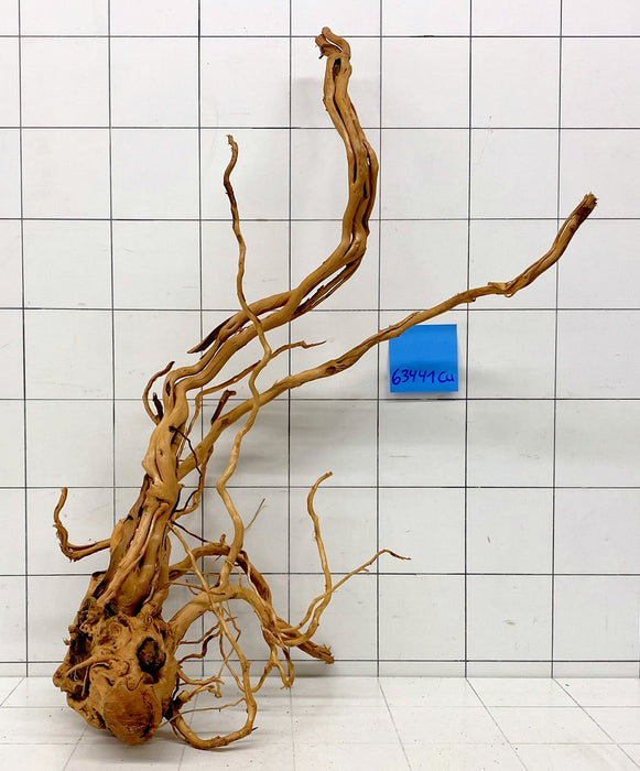 63441Cu - Curlwood Wurzel Holz
