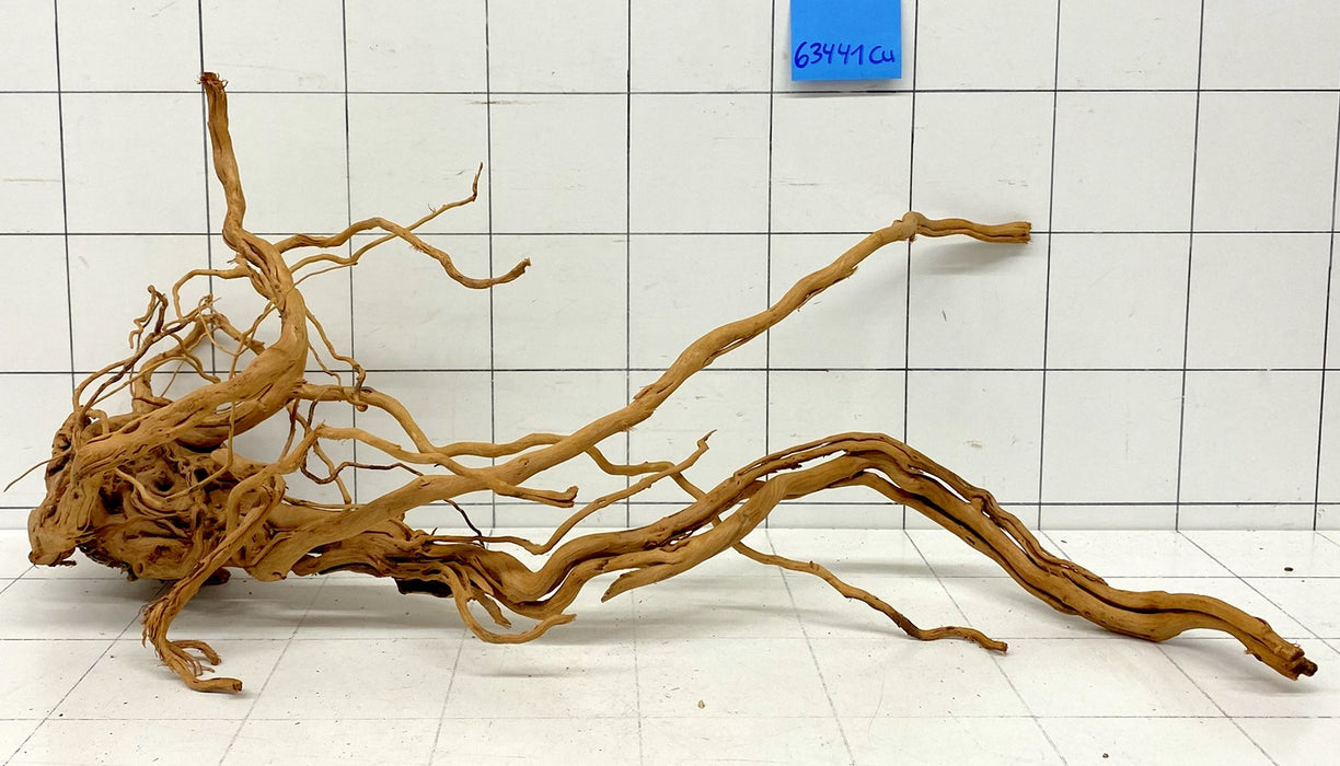 63441Cu - Curlwood Wurzel Holz