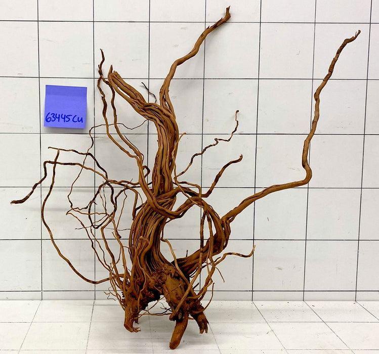 63445Cu - Curlwood Wurzel Holz