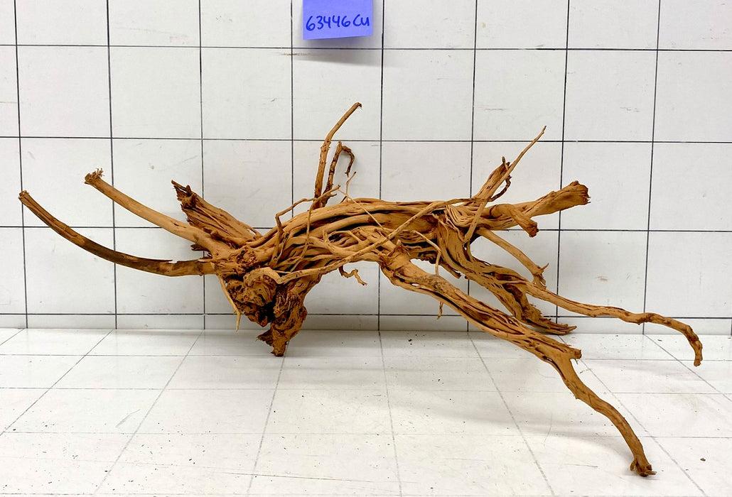 63446Cu - Curlwood Wurzel Holz