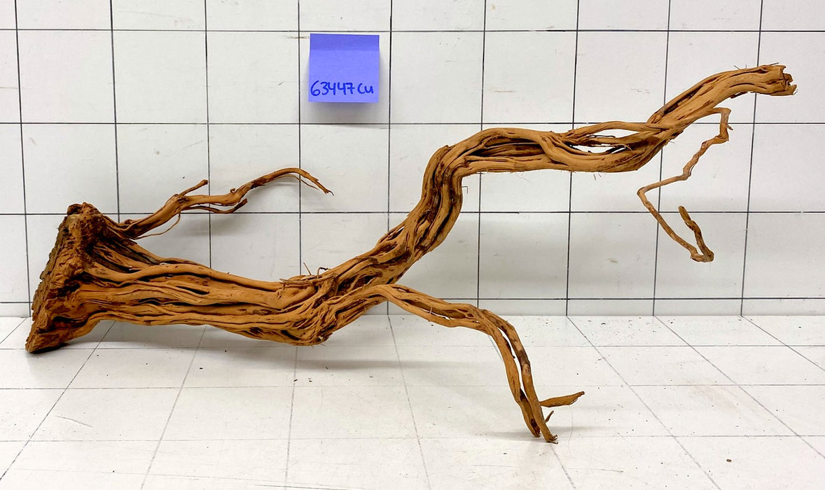 63447Cu - Curlwood Wurzel Holz