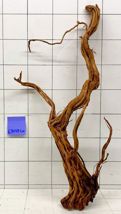 63447Cu - Curlwood Wurzel Holz