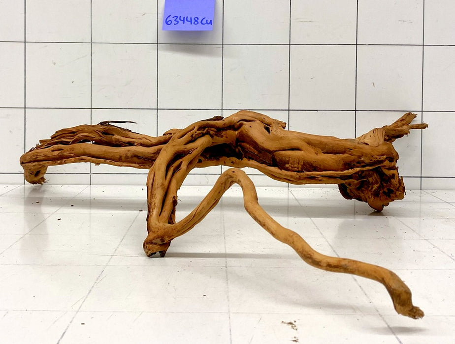 63448Cu - Curlwood Wurzel Holz