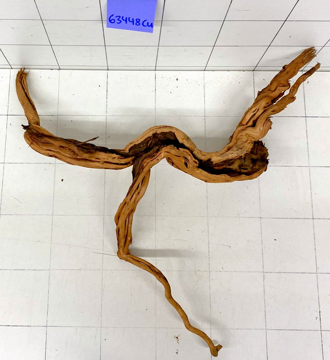 63448Cu - Curlwood Wurzel Holz
