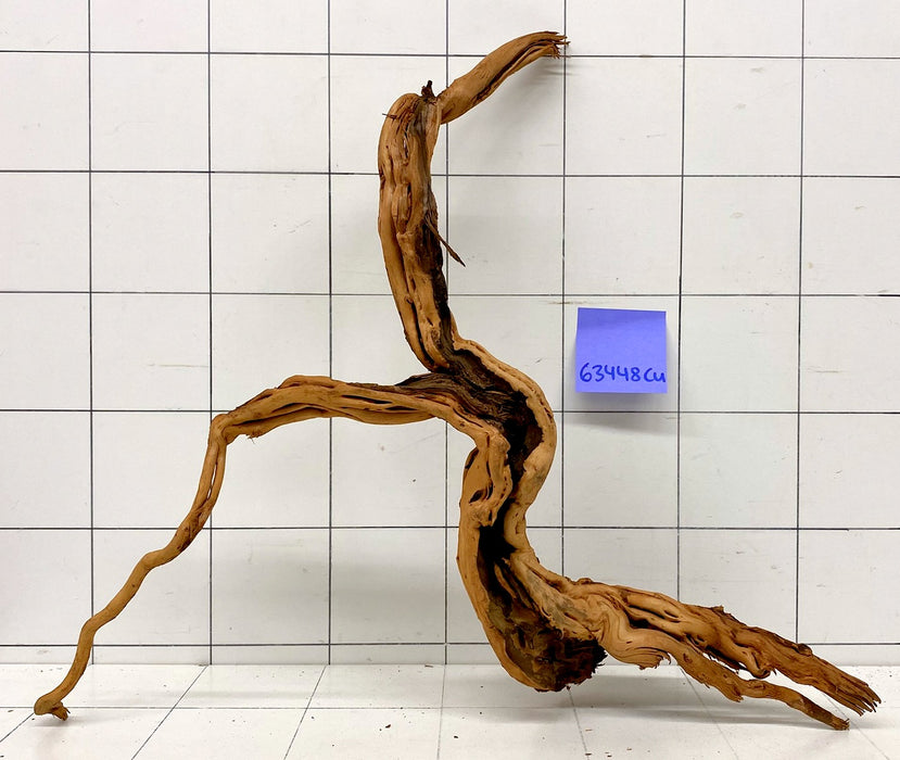 63448Cu - Curlwood Wurzel Holz