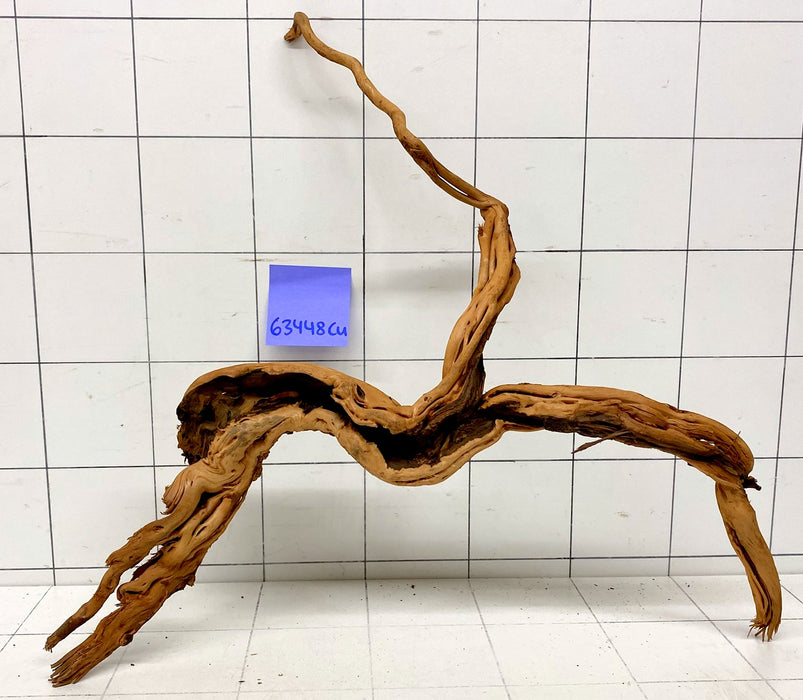 63448Cu - Curlwood Wurzel Holz