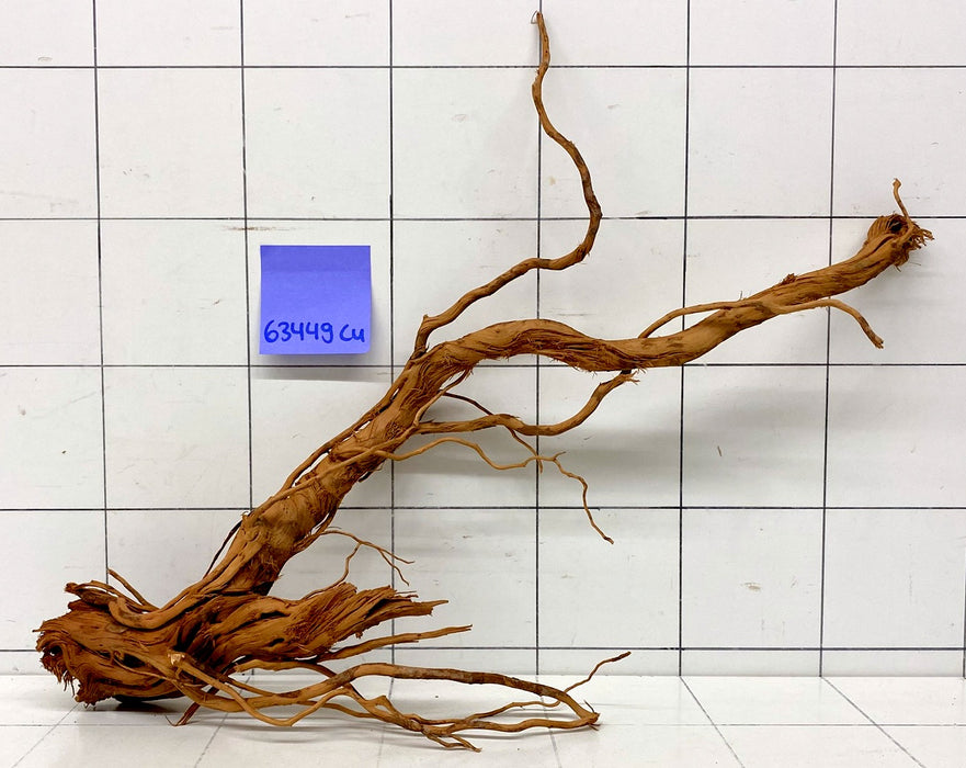63449Cu - Curlwood Wurzel Holz