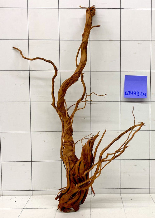 63449Cu - Curlwood Wurzel Holz