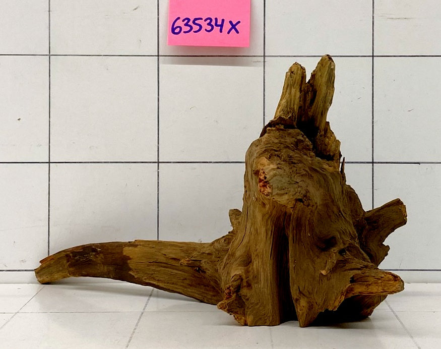 63534X - XINGU Wood Wurzelholz mit geschnittener Grundfläche