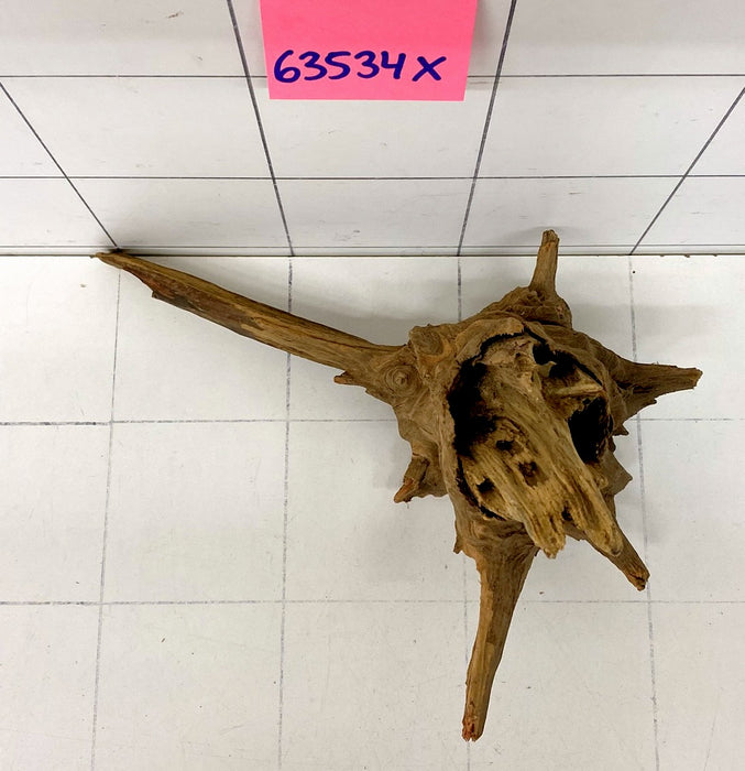 63534X - XINGU Wood Wurzelholz mit geschnittener Grundfläche