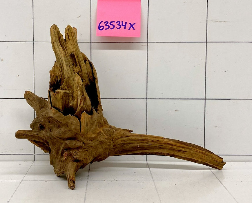 63534X - XINGU Wood Wurzelholz mit geschnittener Grundfläche