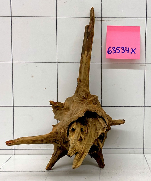 63534X - XINGU Wood Wurzelholz mit geschnittener Grundfläche
