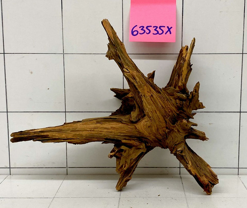 63535X - XINGU Wood Wurzelholz mit geschnittener Grundfläche