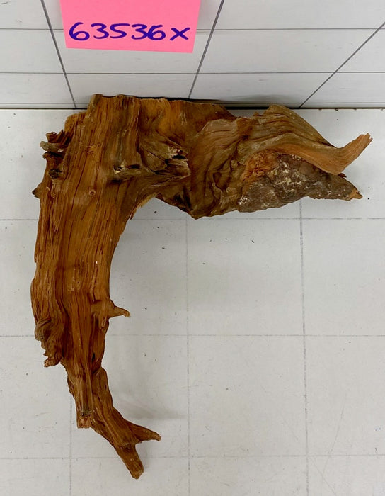 63536X - XINGU Wood Wurzelholz mit geschnittener Grundfläche