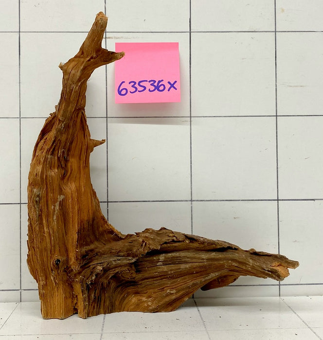 63536X - XINGU Wood Wurzelholz mit geschnittener Grundfläche