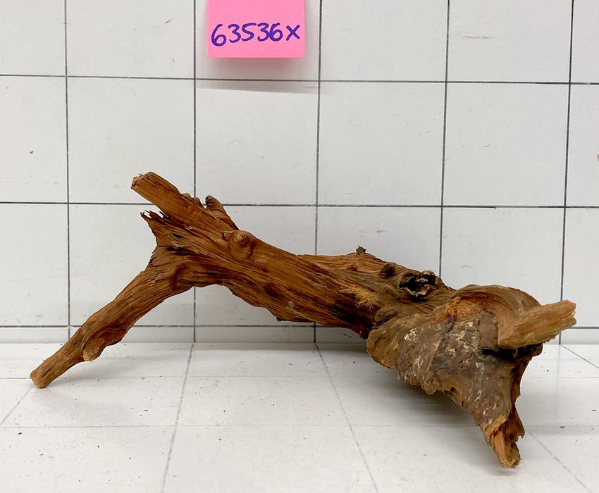 63536X - XINGU Wood Wurzelholz mit geschnittener Grundfläche