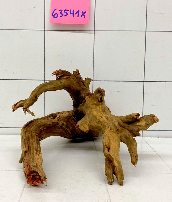 63541X - XINGU Wood Wurzelholz mit geschnittener Grundfläche