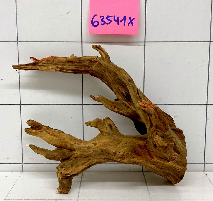 63541X - XINGU Wood Wurzelholz mit geschnittener Grundfläche