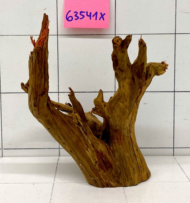 63541X - XINGU Wood Wurzelholz mit geschnittener Grundfläche