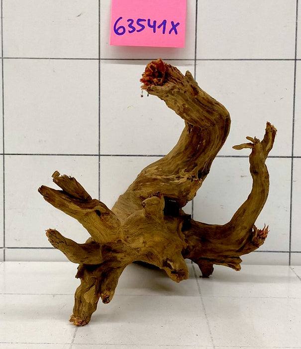 63541X - XINGU Wood Wurzelholz mit geschnittener Grundfläche